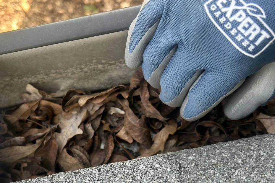 Gutter Cleaning Sanibel FL