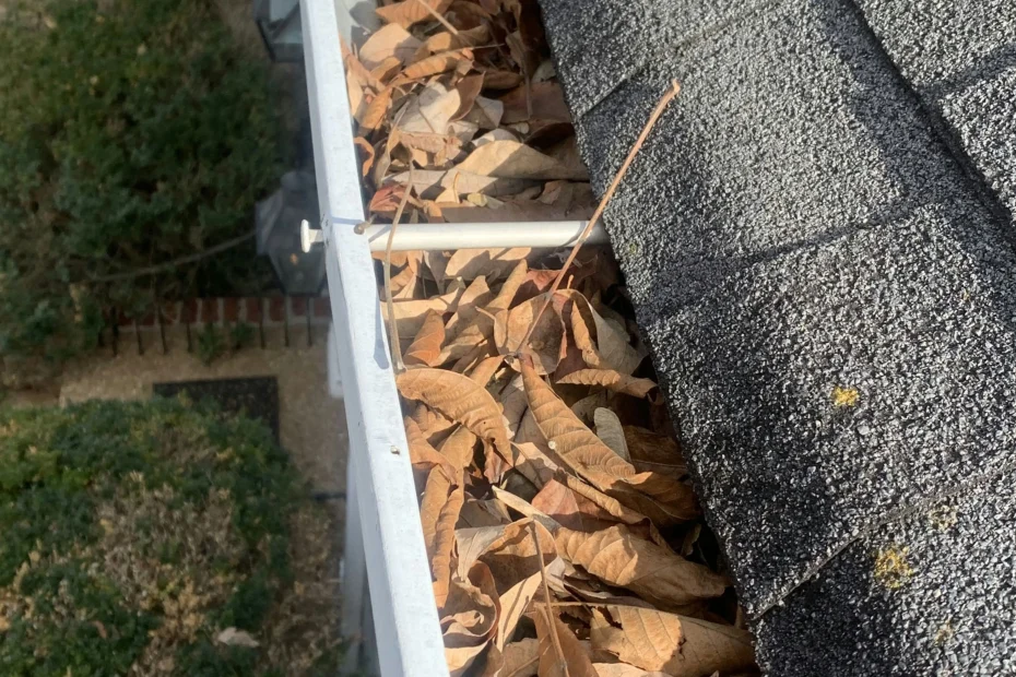 Gutter Cleaning Sanibel FL